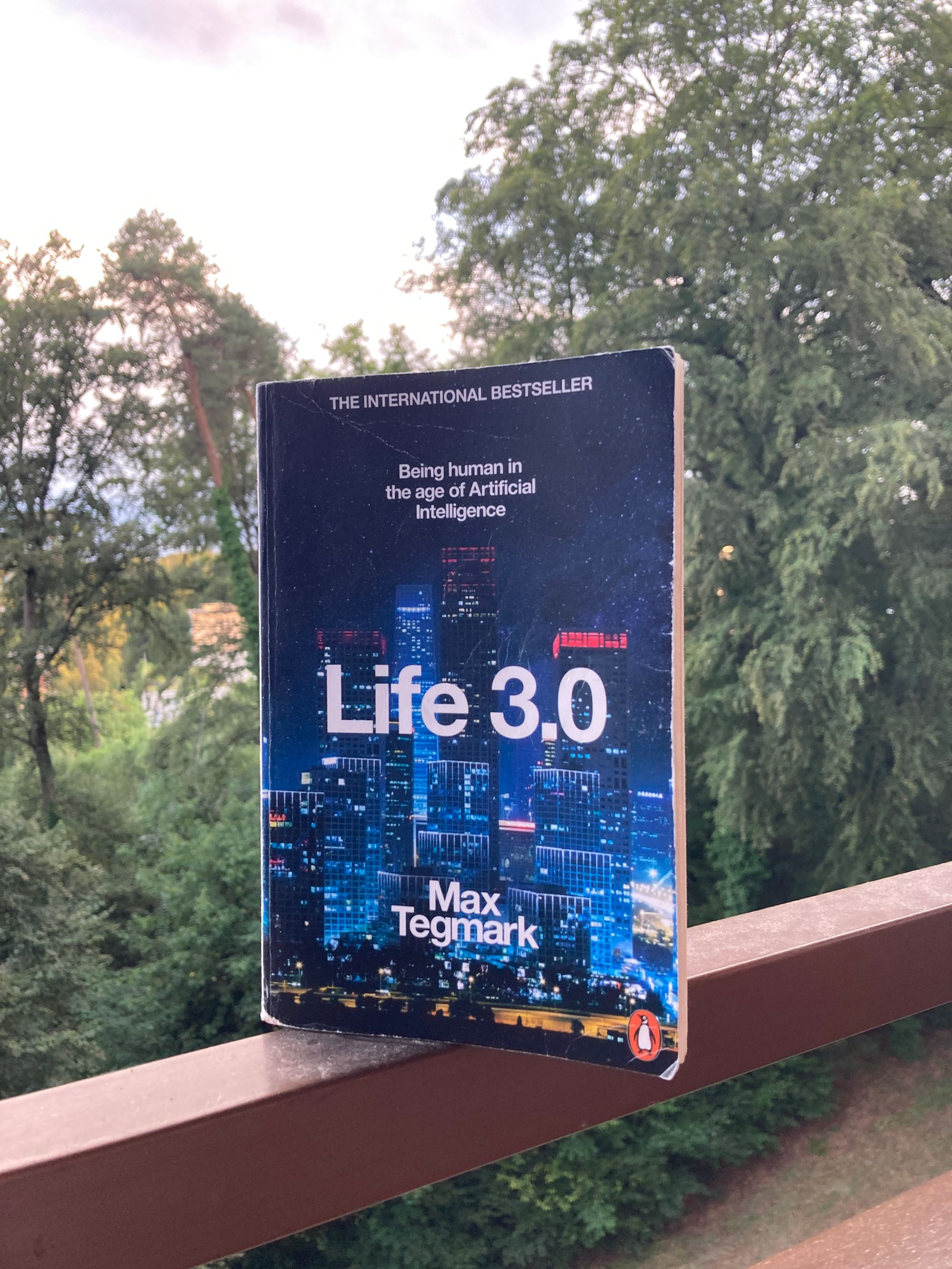 Buku Life 3.0